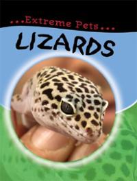 lizards-deborah-chancellor-hardcover-cover-art.jpg