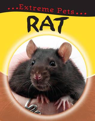 rat.jpg